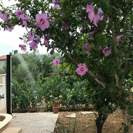 Damir Apartamento